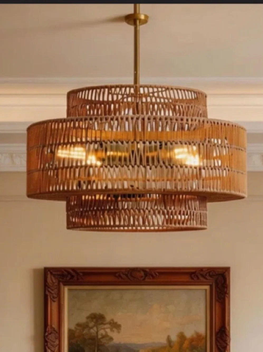 EVERLY QUINN NWT 4-light Boho Rattan Chandelier Light Fixture, 17.7